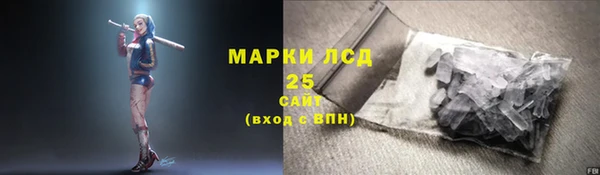 ПСИЛОЦИБИНОВЫЕ ГРИБЫ Алексеевка