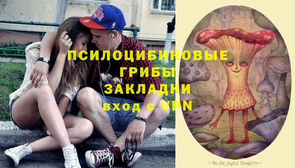 дживик Абинск