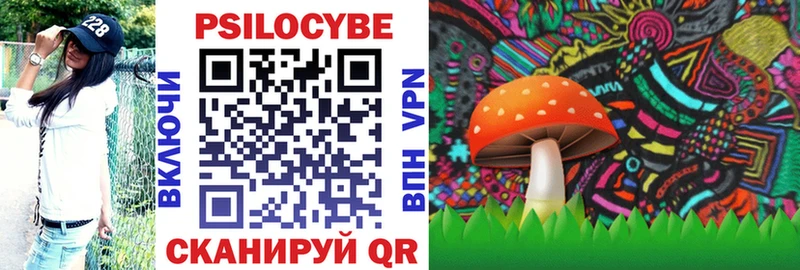 Псилоцибиновые грибы Psilocybe  Богданович 